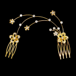 Accesoriu modern pentru decor par CA040EE Auriu cu cristale Argintii